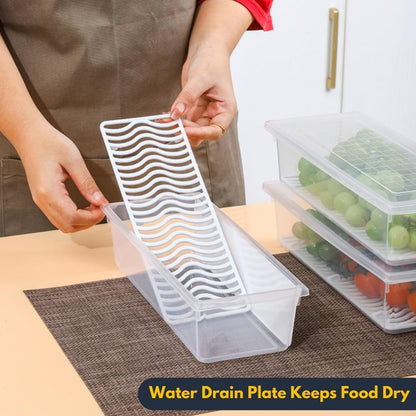 Food Storage Container Set with Lid And Detachable Drain Pan